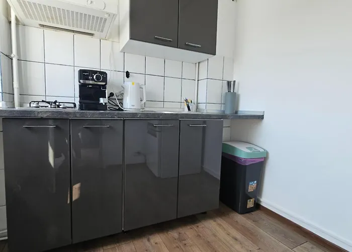 Roof * Бухарест