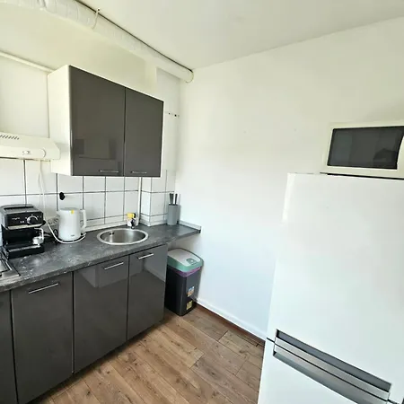 Roof 布加勒斯特